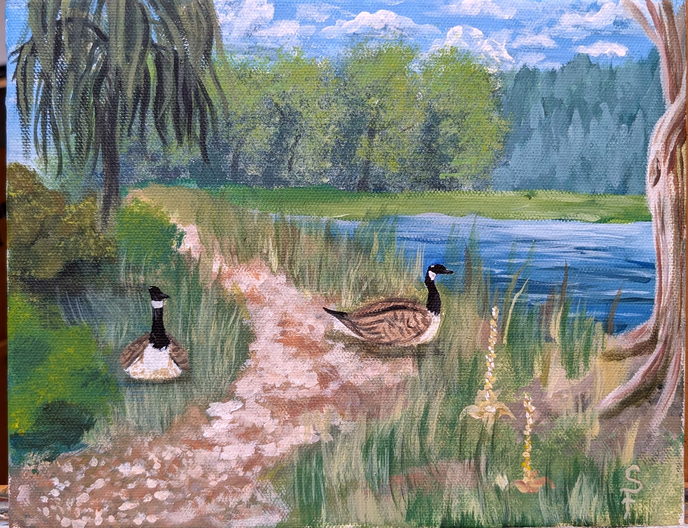 Acrylic on canvas: Canada Geese, Colorado