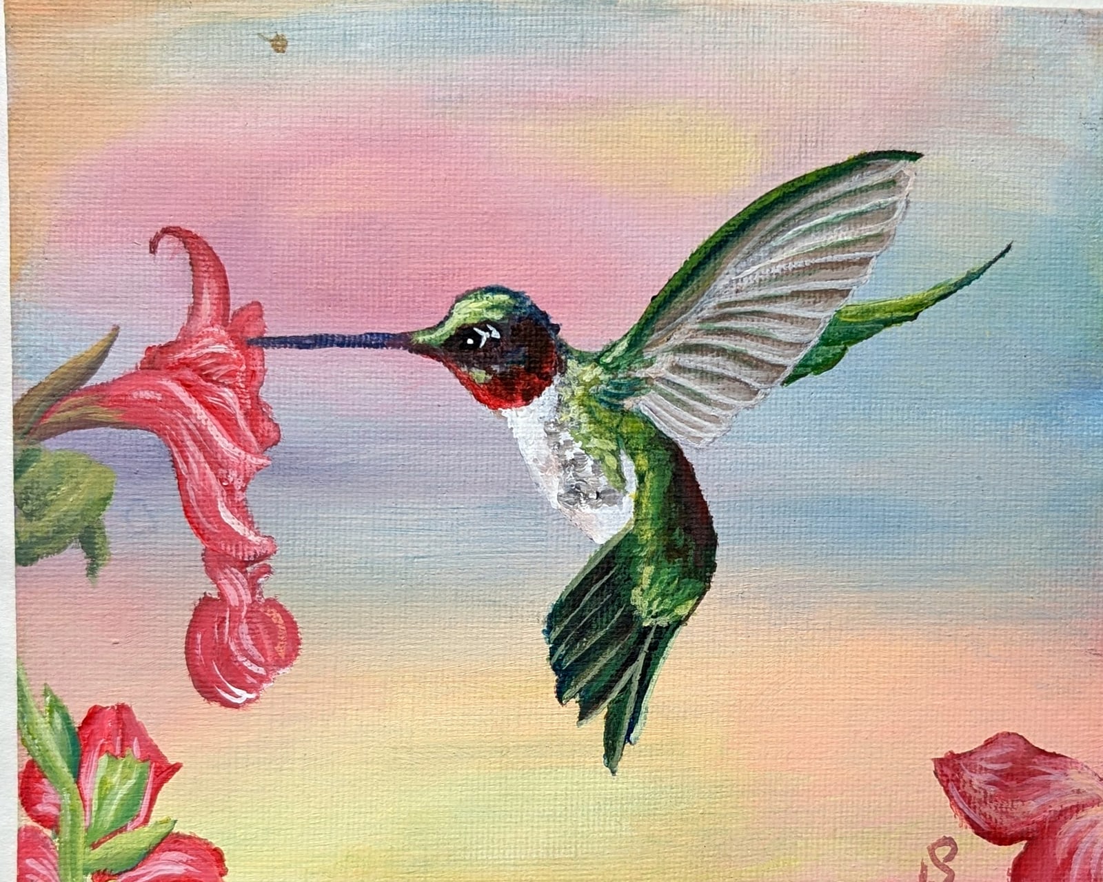 Acrylic on canvas: Hummingbird