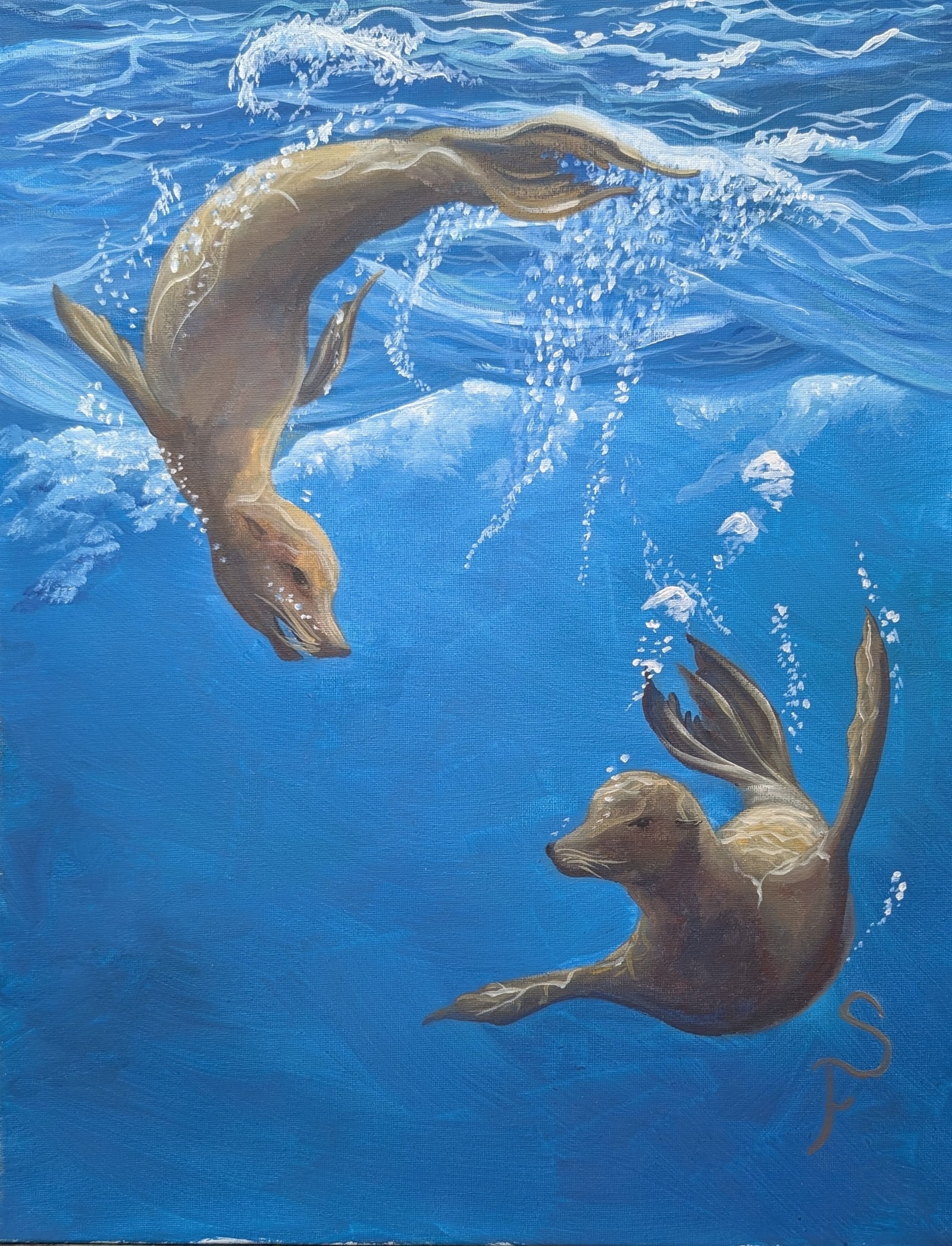 Acrylic on canvas: Sea Lions off Peru, Ilo, Peru